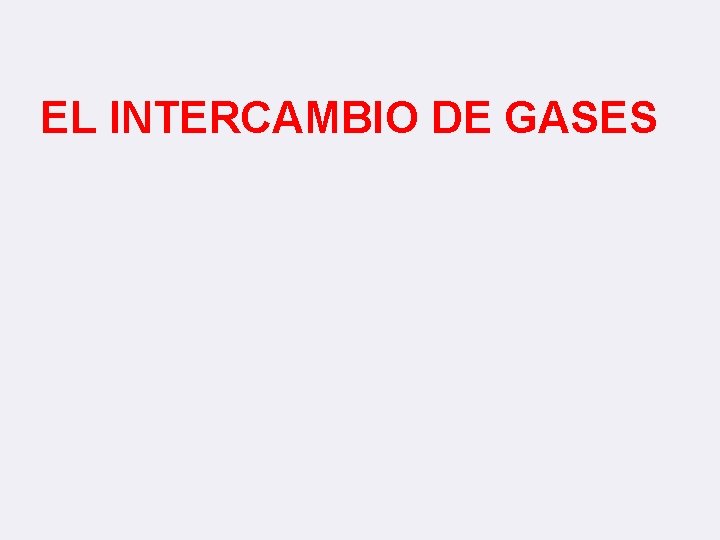 EL INTERCAMBIO DE GASES 