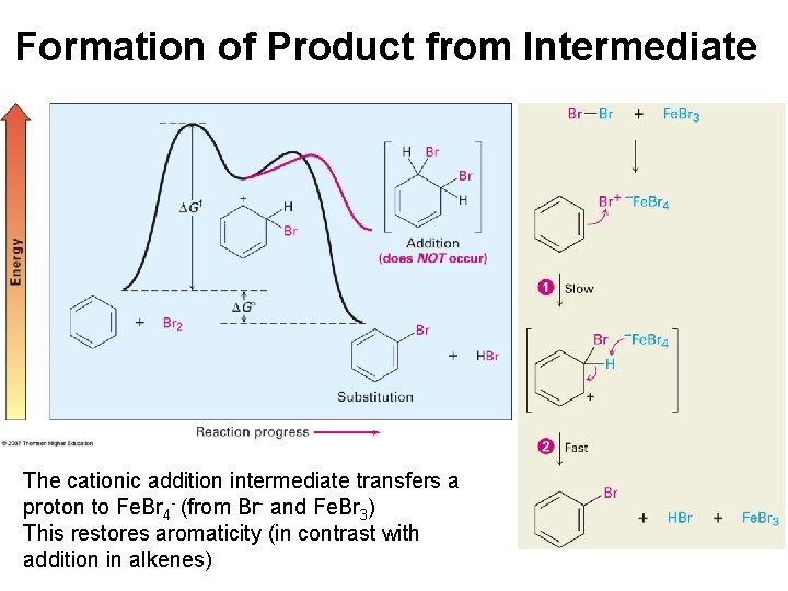 Formation of Product from Intermediate The cationic addition intermediate transfers a proton to Fe.
