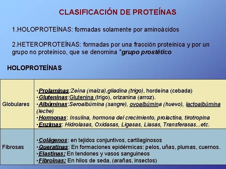 CLASIFICACIÓN DE PROTEÍNAS 1. HOLOPROTEÍNAS: formadas solamente por aminoácidos 2. HETEROPROTEÍNAS: formadas por una
