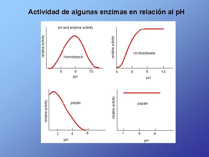 Actividad de algunas enzimas en relación al p. H 