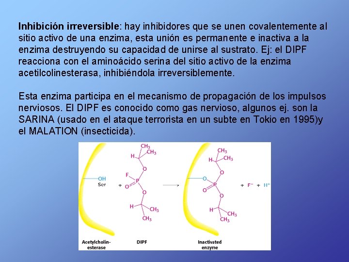 Inhibición irreversible: hay inhibidores que se unen covalentemente al sitio activo de una enzima,