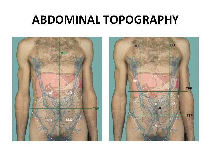 ABDOMINAL TOPOGRAPHY 