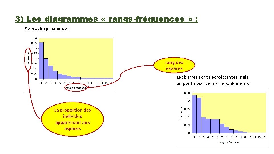 3) Les diagrammes « rangs-fréquences » : Approche graphique : rang des espèces Les