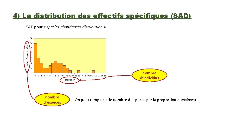4) La distribution des effectifs spécifiques (SAD) SAD pour « species abundances distribution »