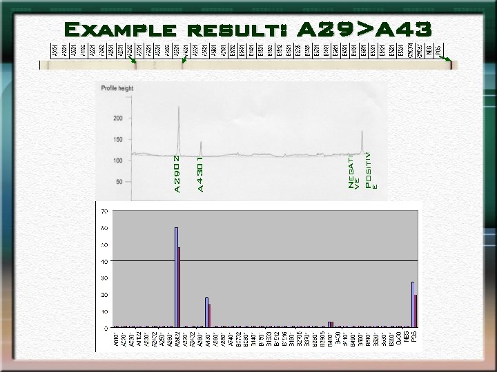 Negati ve Positiv e A 4301 A 2902 Example result: A 29>A 43 