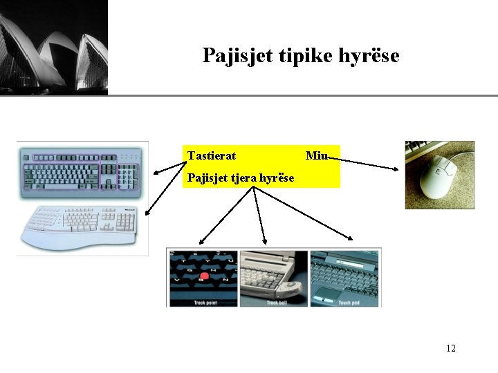 Pajisjet tipike hyrëse Tastierat XP Miu Pajisjet tjera hyrëse 12 