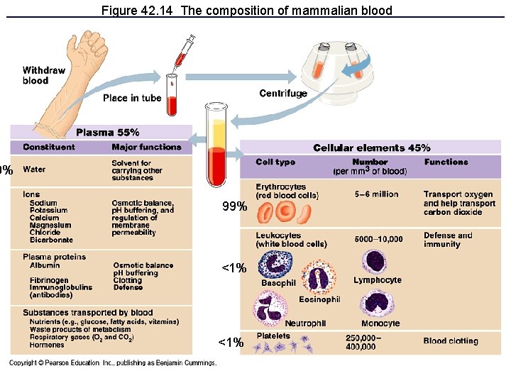 Figure 42. 14 The composition of mammalian blood 0% 99% <1% 