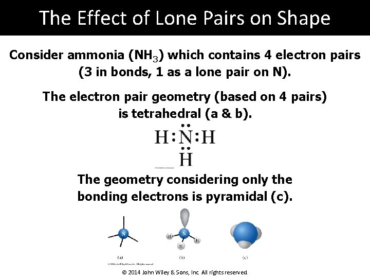 The Effect of Lone Pairs on Shape Consider ammonia (NH 3) which contains 4