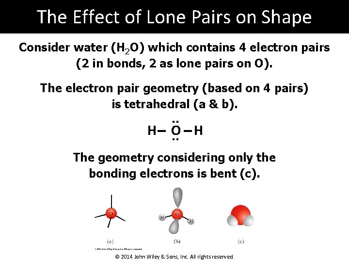 The Effect of Lone Pairs on Shape Consider water (H 2 O) which contains