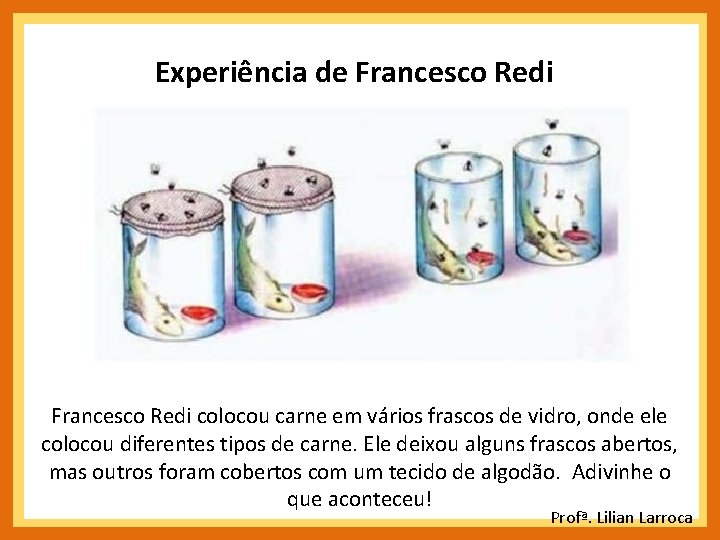 Experiência de Francesco Redi colocou carne em vários frascos de vidro, onde ele colocou Experiência de Francesco Redi colocou carne em vários frascos de vidro, onde ele colocou