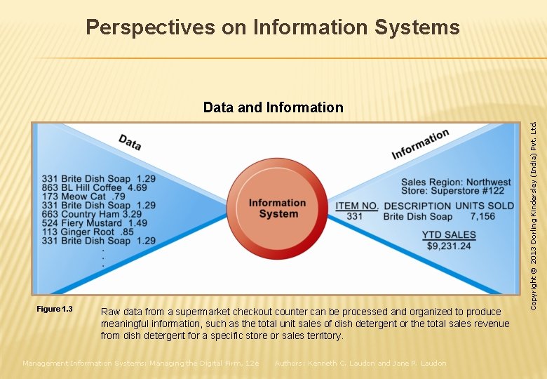 Perspectives on Information Systems Figure 1. 3 Raw data from a supermarket checkout counter