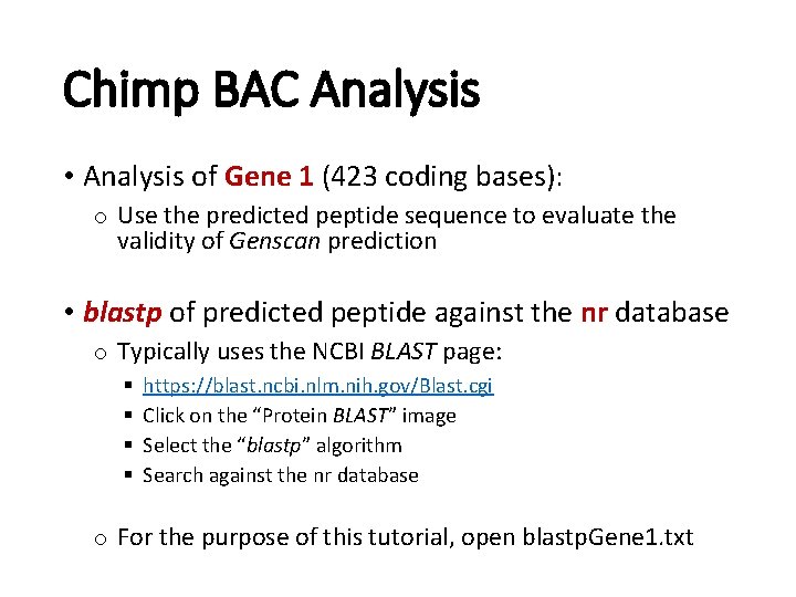 Chimp BAC Analysis • Analysis of Gene 1 (423 coding bases): o Use the