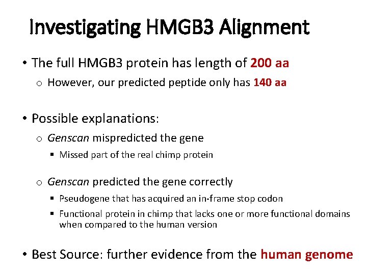 Investigating HMGB 3 Alignment • The full HMGB 3 protein has length of 200