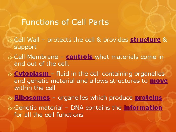 Functions of Cell Parts Cell Wall – protects the cell & provides structure &
