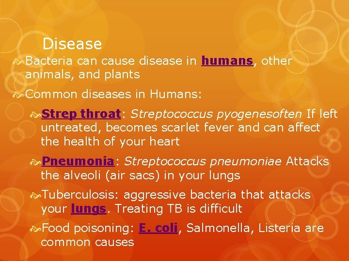 Disease Bacteria can cause disease in humans, other animals, and plants Common diseases in