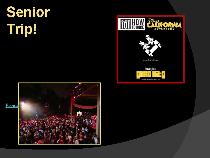 Senior Trip! Promo 