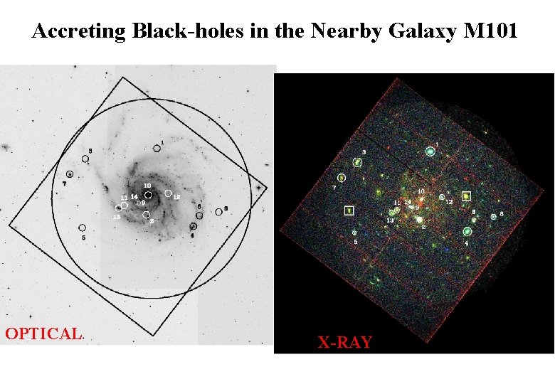 Accreting Black-holes in the Nearby Galaxy M 101 OPTICAL X-RAY 