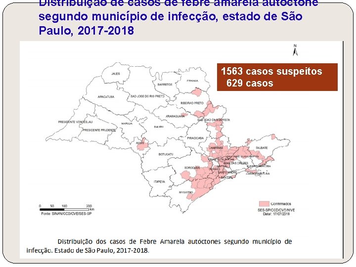 Distribuição de casos de febre amarela autóctone segundo município de infecção, estado de São