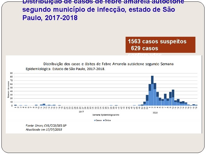 Distribuição de casos de febre amarela autóctone segundo município de infecção, estado de São