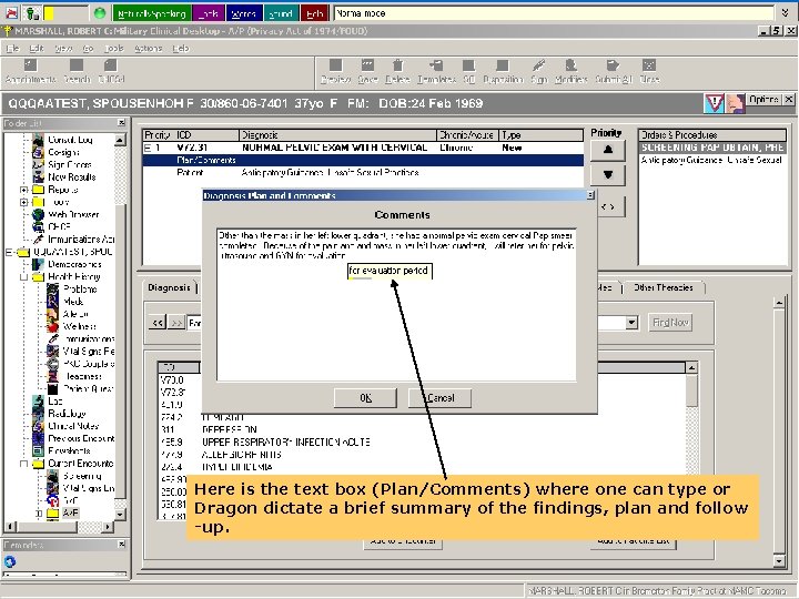 Here is the text box (Plan/Comments) where one can type or Dragon dictate a