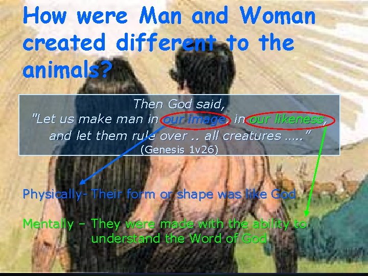 How were Man and Woman created different to the animals? Then God said, "Let