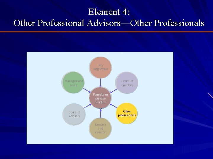 Element 4: Other Professional Advisors—Other Professionals 