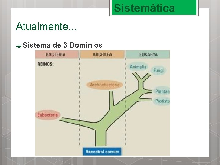 Sistemática Atualmente. . . Sistema de 3 Domínios 