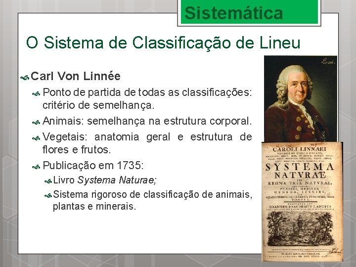 Sistemática O Sistema de Classificação de Lineu Carl Von Linnée Ponto de partida de