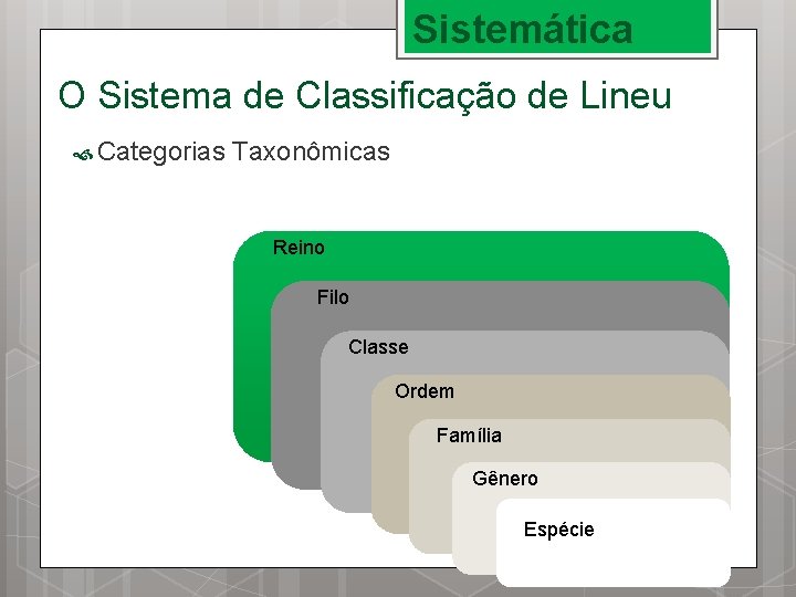 Sistemática O Sistema de Classificação de Lineu Categorias Taxonômicas Reino Filo Classe Ordem Família