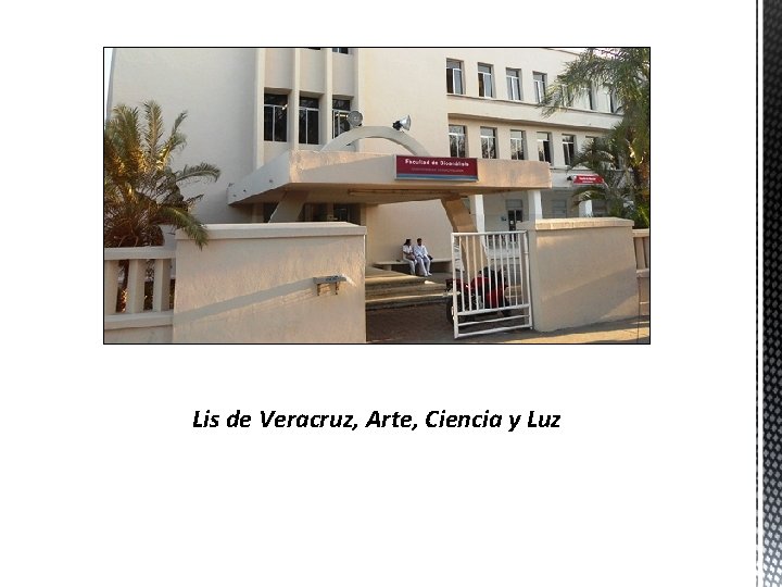 Lis de Veracruz, Arte, Ciencia y Luz 