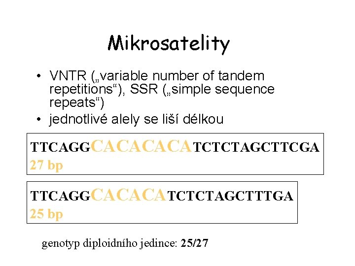 Mikrosatelity • VNTR („variable number of tandem repetitions“), SSR („simple sequence repeats“) • jednotlivé