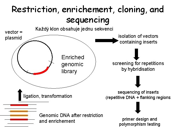 Restriction, enrichement, cloning, and sequencing vector = plasmid Každý klon obsahuje jednu sekvenci isolation