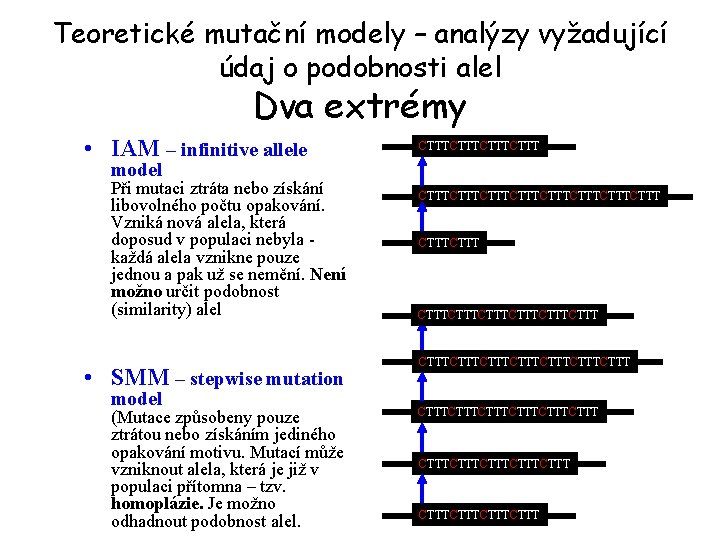 Teoretické mutační modely – analýzy vyžadující údaj o podobnosti alel Dva extrémy • IAM
