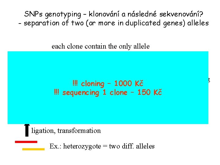 SNPs genotyping – klonování a následné sekvenování? - separation of two (or more in