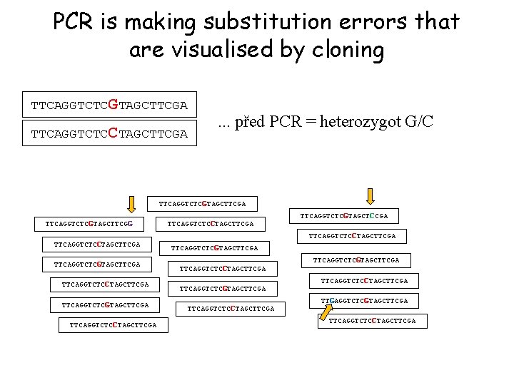 PCR is making substitution errors that are visualised by cloning TTCAGGTCTCGTAGCTTCGA TTCAGGTCTCCTAGCTTCGA . .