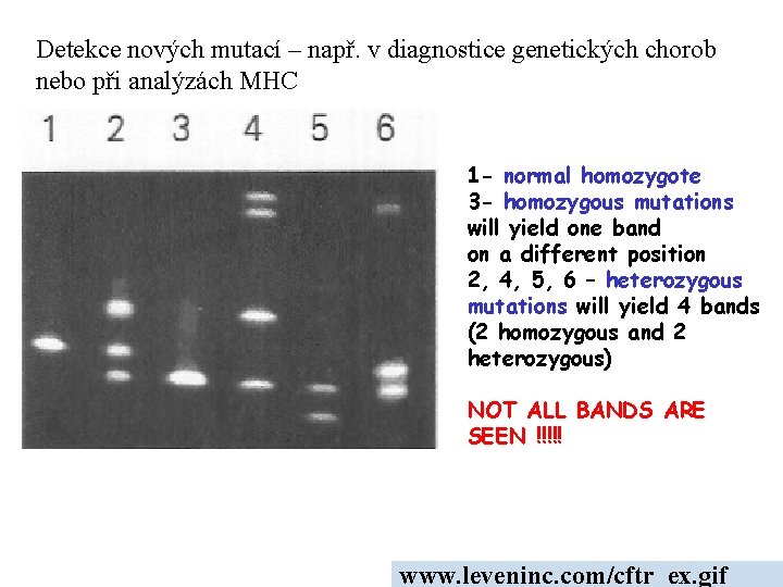 Detekce nových mutací – např. v diagnostice genetických chorob nebo při analýzách MHC 1