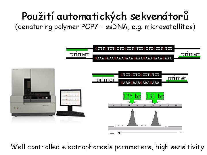 Použití automatických sekvenátorů (denaturing polymer POP 7 – ss. DNA, e. g. microsatellites) primer