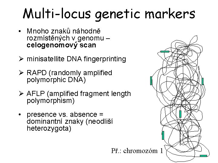 Multi-locus genetic markers • Mnoho znaků náhodně rozmístěných v genomu – celogenomový scan Ø