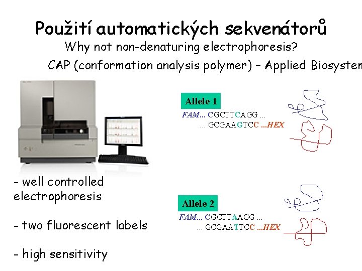 Použití automatických sekvenátorů Why not non-denaturing electrophoresis? CAP (conformation analysis polymer) – Applied Biosystem