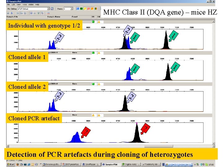 MHC Class II (DQA gene) – mice HZ Individual with genotype 1/2 2 2