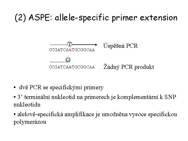 (2) ASPE: allele-specific primer extension T CCGATCAATGCGGCAA Úspěšná PCR G CCGATCAATGCGGCAA Žádný PCR produkt