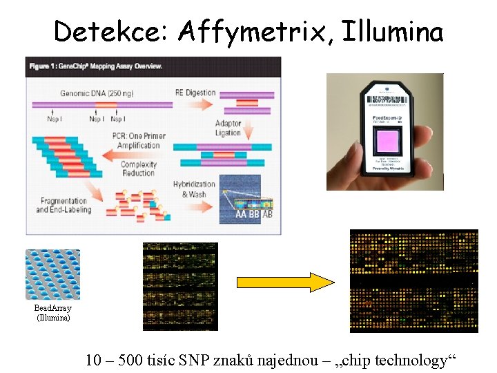 Detekce: Affymetrix, Illumina aj. Bead. Array (Illumina) 10 – 500 tisíc SNP znaků najednou