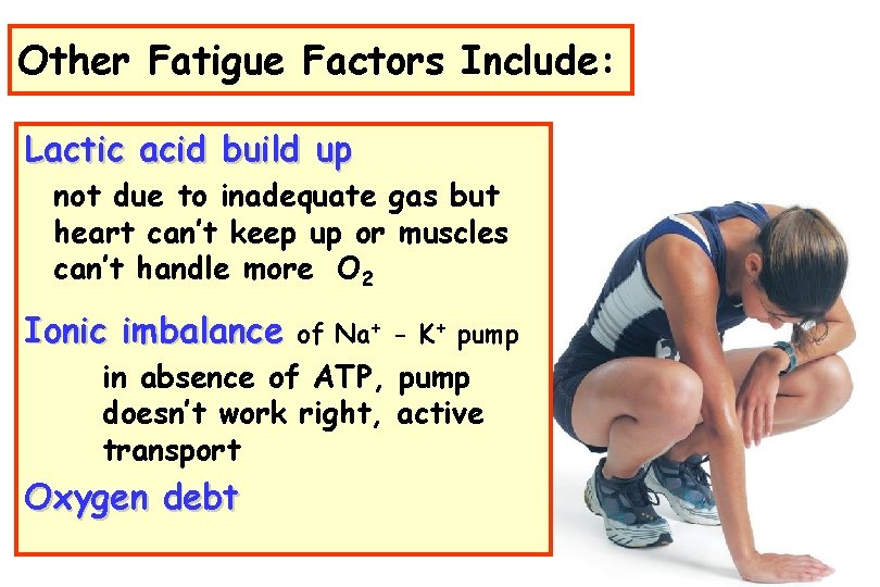 Other Fatigue Factors Include: Lactic acid build up not due to inadequate gas but