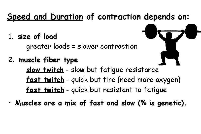 Speed and Duration of contraction depends on: 1. size of load greater loads =