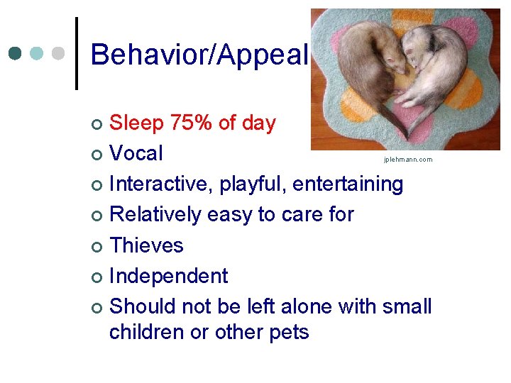 Behavior/Appeal Sleep 75% of day ¢ Vocal ¢ Interactive, playful, entertaining ¢ Relatively easy