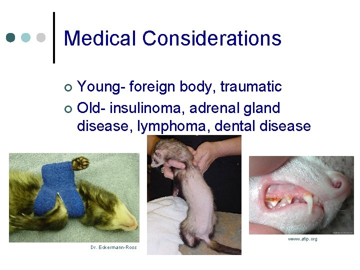 Medical Considerations Young- foreign body, traumatic ¢ Old- insulinoma, adrenal gland disease, lymphoma, dental
