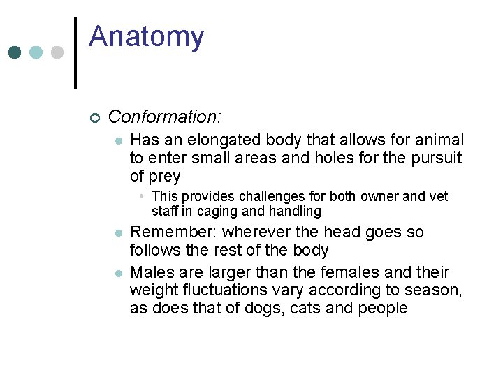 Anatomy ¢ Conformation: l Has an elongated body that allows for animal to enter
