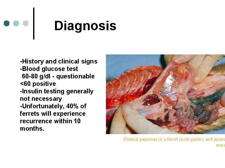 Diagnosis -History and clinical signs -Blood glucose test 60 -80 g/dl - questionable <60