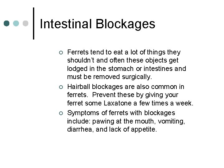 Intestinal Blockages ¢ ¢ ¢ Ferrets tend to eat a lot of things they