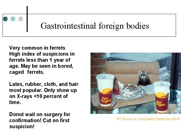 Gastrointestinal foreign bodies Very common in ferrets High index of suspicions in ferrets less